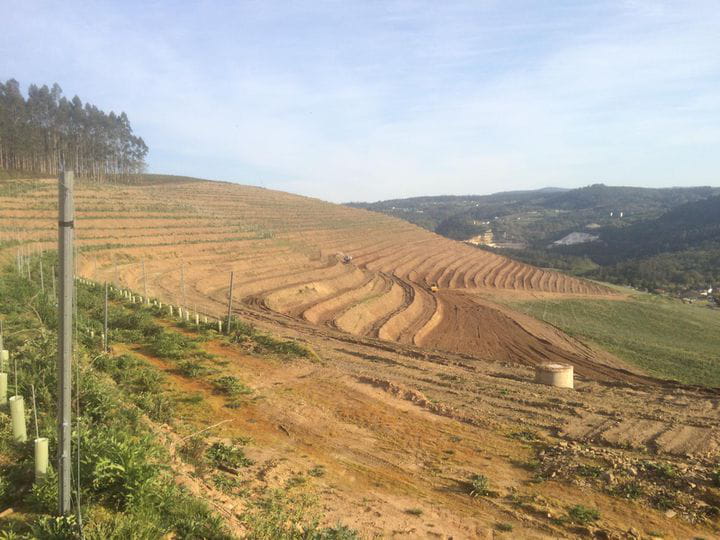Mejora de productividad de fincas y platación vitivinícola en Donas - Vedra