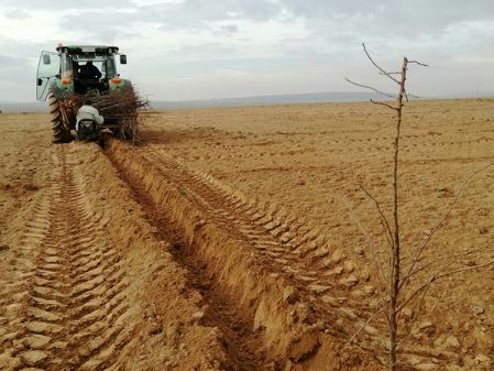 Plantaciones