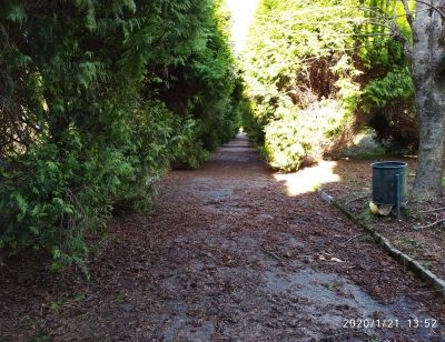 La Xunta adjudica a Arines la Obra de creación del Bosque de Camelias