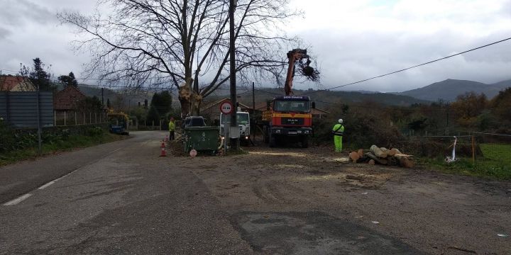 Arines Obras y Proyectos es adjudicataria de la obra de Traballos de Poda do 
