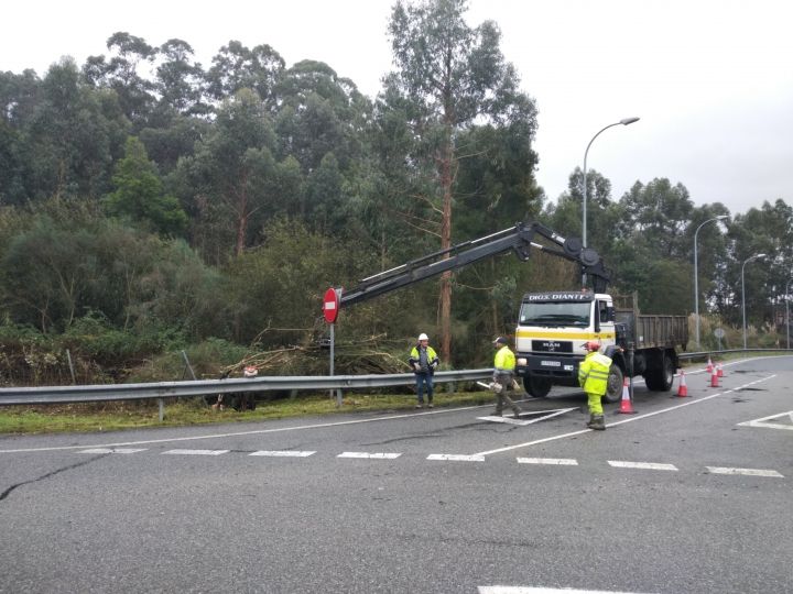 Arines realiza os 